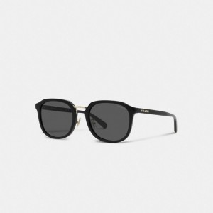 Black Men Coach Rounded Geometric Sunglasses | NZ_CH35979