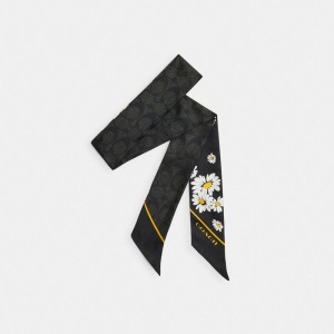 Black Women Coach Signature Daisy Cluster Print Silk Skinny Scarf | NZ_CH50373