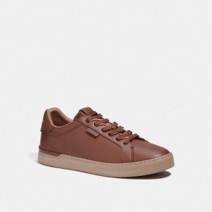 Brown Men Coach Lowline Low Top Sneakers | NZ_CH10523