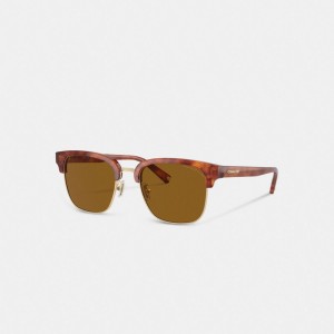 Brown Men Coach Retro Sunglasses | NZ_CH35130