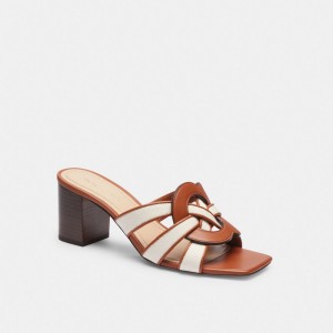 Brown Women Coach Nikki Chalk Burnished Amber Sandals | NZ_CH41472