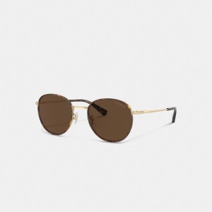 Brown / Gold Men Coach Metal Windsor Round Sunglasses | NZ_CH25112
