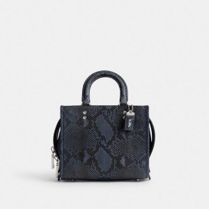 Dark Blue Women Coach Rogue 20 In Python Handbag | NZ_CH80980