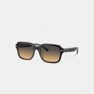 Dark Grey Men Coach Beveled Signature Square Sunglasses | NZ_CH54912