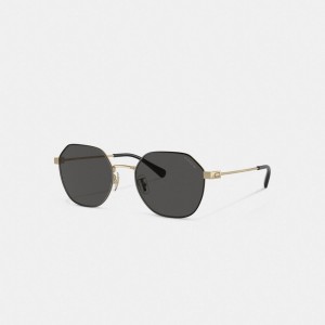 Gold Black Men Coach Hinged Geometric Round Sunglasses | NZ_CH42274