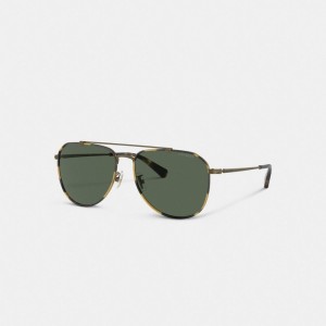 Gold Men Coach Metal Windsor Pilot Sunglasses | NZ_CH61133