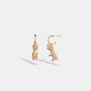 Gold Women Coach Pavé Rexy Huggie Earrings | NZ_CH79566