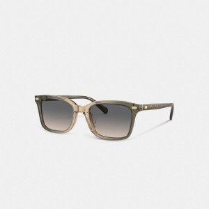 Green / Brown Men Coach Narrow Square Sunglasses | NZ_CH10002
