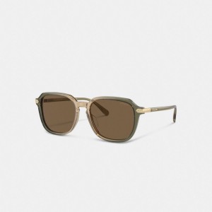 Green / Brown Men Coach Wrap Around Hangtag Keyhole Sunglasses | NZ_CH28653