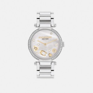 Grey Women Coach Cary 34 Mm Stainless Steel Watches | NZ_CH37635