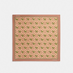 Khaki Women Coach Rexy Print Silk Bandana Hats | NZ_CH83770