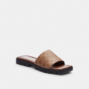 Khaki / Dark Women Coach Florence In Signature Sandals | NZ_CH53611