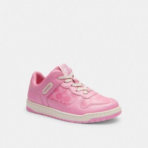 Pink Women Coach C201 Low Top In Signature Canvas Vivid Sneakers | NZ_CH49924