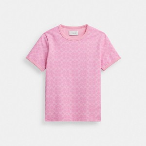 Pink Women Coach Signature Ringer In Organic Cotton Signature T Shirts | NZ_CH30593