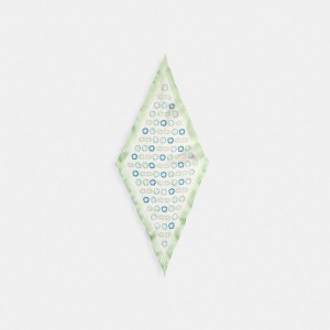 Rose Women Coach Tea Print Silk Diamond Pale Pistachio Scarf | NZ_CH68059