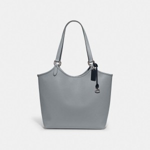 SGrey Blue Women Coach Day Tote Bag | NZ_CH12029